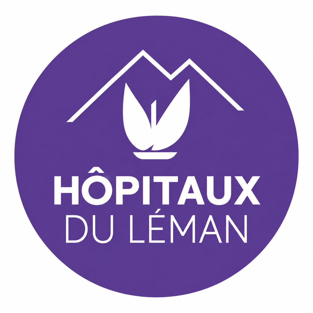 Logo Hôpitaux du Léman