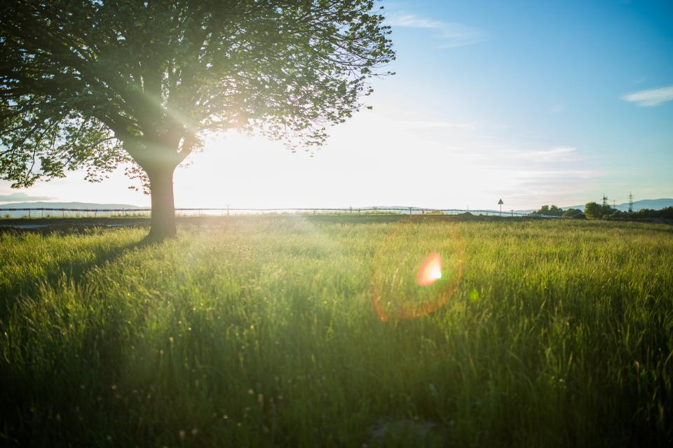 Protecting Forests, Protecting Our Shared Future