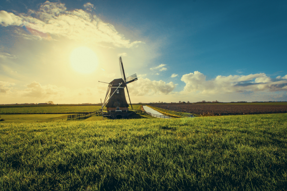The Future of Renewable Energy